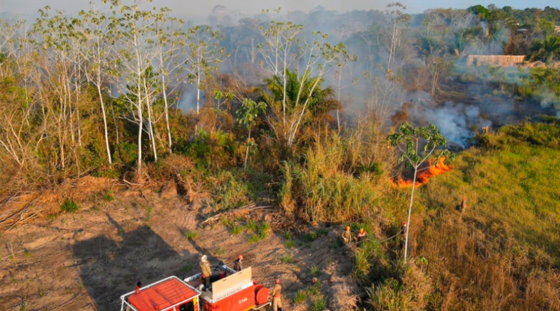 De acordo com o Instituto Nacional de Pesquisas Espaciais (INPE), o estado do Amazonas enfrentou um total de 3.925 focos de queimadas nos primeiros dez dias de setembro, apresentando uma intensificação alarmante dos..