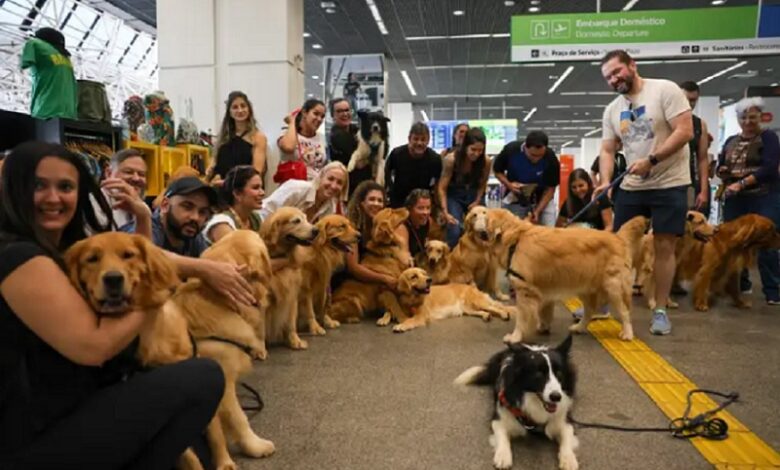 Protesto no aeroporto e deputado anuncia audiência na Câmara para o caso Joca