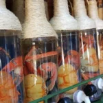 Como Fazer Cachaça Artesanal em Casa com Qualidade e Tradição