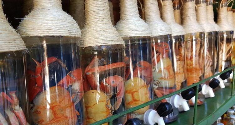 Como Fazer Cachaça Artesanal