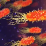 Sobrecarga global: superbactérias podem matar mais que o câncer até 2050, alerta reportagem