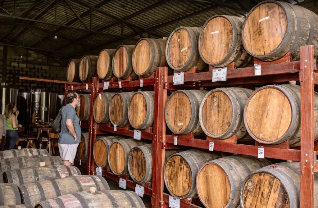 Cachaça Cavaco Experience