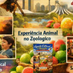 Agenda cultural em Brasília: eventos, shows e atrações imperdíveis