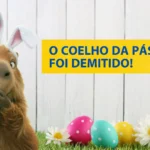O que a campanha de Páscoa da Hershey’s revela sobre comportamento e comunicação