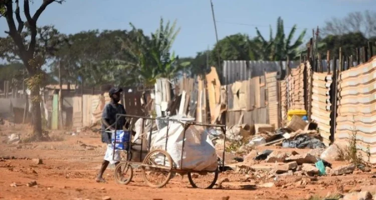 Distrito Federal pode ter mais de 72,6 mil casos de dengue