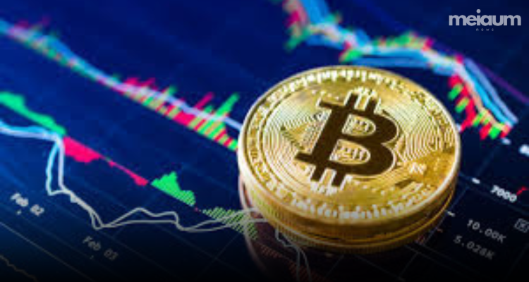 O Renascimento do Bitcoin: Alta de Preços e Expectativas para o Próximo Halving