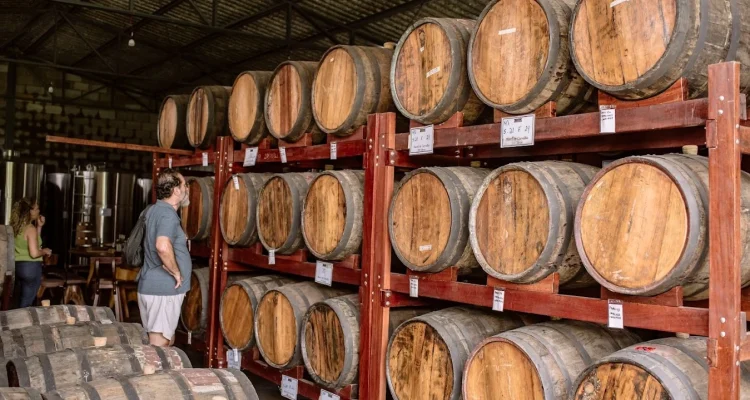 Cachaça Cavaco Experience