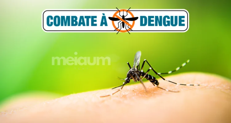 Dengue: Justiça do DF renova autorização para que agentes da Saúde entrem em casas 'inacessíveis'