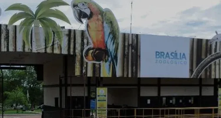 entrada gratuita no Zoológico e Jardim botânico