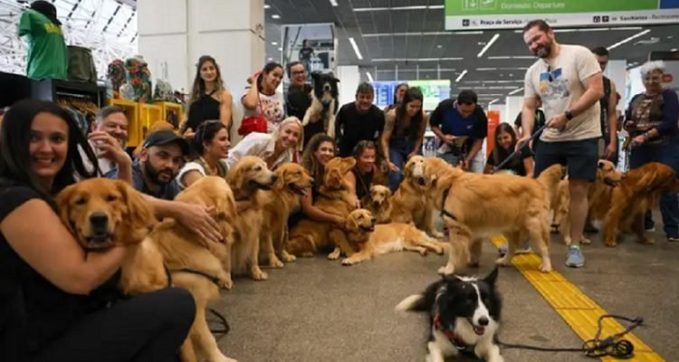 Protesto no aeroporto e deputado anuncia audiência na Câmara para o caso Joca