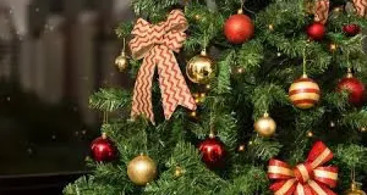 Mensagens de Natal para você presentear seus famíliares e amigos. Vamos continuar com a mágia que é esse momento de natal e levar alegria e muito amor para os Lares.