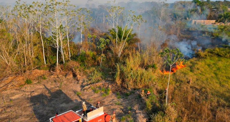 De acordo com o Instituto Nacional de Pesquisas Espaciais (INPE), o estado do Amazonas enfrentou um total de 3.925 focos de queimadas nos primeiros dez dias de setembro, apresentando uma intensificação alarmante dos..
