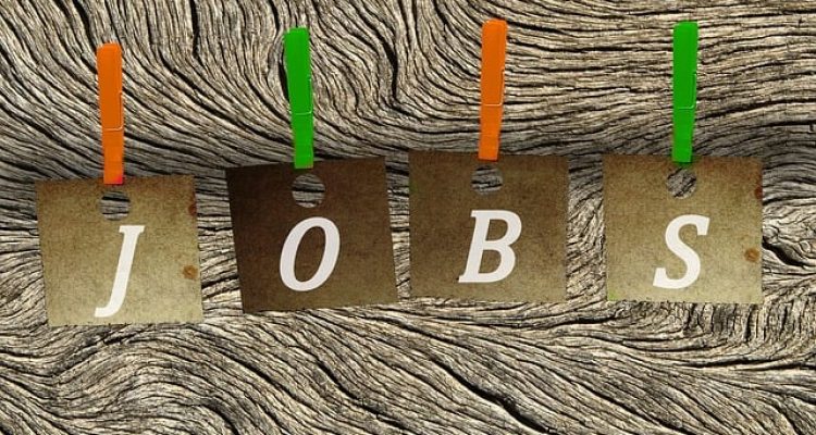 Seja bem-vindo à seção de Oportunidades de Emprego no Meia Um News! Nossa plataforma está comprometida em conectar talentos excepcionais com as melhores oportunidades de carreira disponíveis.